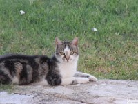 2026-07-01 Ancona  027